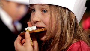 Salmonela opäť útočí, zdrojom nemusí byť len zmrzlina