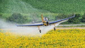 Známy pesticíd spôsobuje rakovinu, tvrdí štúdia. Používa sa aj na Slovensku
