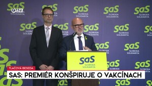Tlačová beseda: SaS obviňuje Fica zo zlyhania v zdravotníctve a kritizuje Kotlárovu analýzu