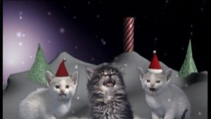 Mačky aj tento rok namňaukali vianočný album