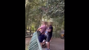 Dvaja návštevníci zoo hádzali po zvieratách kamene: Nahnevalo ich, že nič nerobili