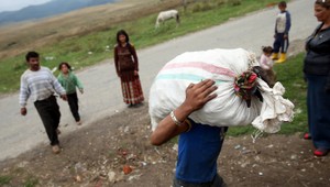 Policajti zadržali zlodejov zemiakov. Bolo ich 40!