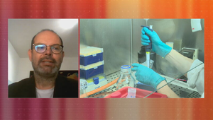 Rozhovory 24: Chrípková sezóna