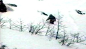 Yeti je náš vzdialený príbuzný, zhodli sa vedci