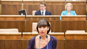 Parlament o Gorile. Slovensko je Absurdistan, tvrdí Nicholsonová