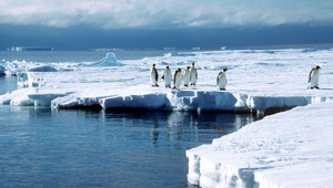 Antarktický ľad márne čaká na globálne oteplenie, netopí sa