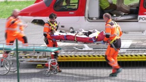 Turisti na Poľane narazili na medveďa. Zasahoval aj vrtuľník