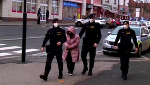 Bábätko po pôrode natlačila do kvetináča, potom ho udusila v deke. Slovenka si vypočula trest