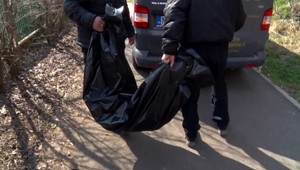 Hororový nález v lese: V kríkoch ležali kosti, ktoré patrili človeku v strednom veku