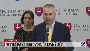 Tlačová beseda strany SaS k voľbe kandidátov na Ústavný súd