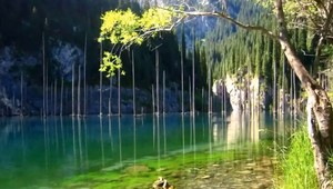 FOTOGALÉRIA: Po zemetrasení zaliala les voda. Jeho prítomnosť prezrádzajú len vrcholky stromov