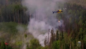 Zem a ekonomika v plameňoch: Kanada hasí takmer 70 aktívnych požiarov