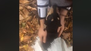 VIDEO: Záchrana psa v poslednej chvíli. V priekope ležal zviazaný