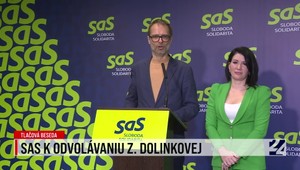Tlačová beseda strany SaS k odvolávaniu ministerky Dolinkovej