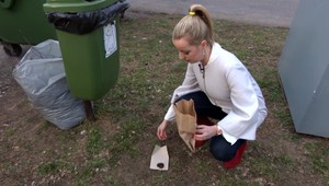 Psa majú, exkrementy nezbierajú. V Stupave majú veľký problém