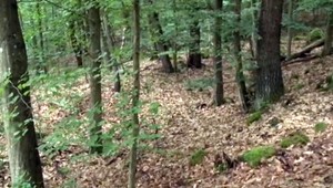 Dôchodca sa zatúlal v lese. Polícia ho hľadala do neskorého večera