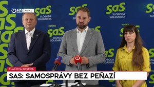 Tlačová beseda SaS: Samosprávy bez peňazí