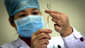 Do Európy sa vrátila prasacia chrípka, z Poľska hlásia prvú obeť