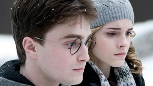 Harry Potter: Vznešená nuda a hormónmi nabití tínedžeri