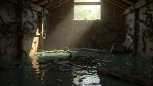 Žena našla na stenách v zaplavenej kôlni 30 hadov a desaťtisíce pavúkov