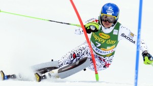 Go, Zuzu Go! v podaní Petra Šťastného či Mateja Tótha