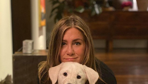 Jennifer Aniston je pripravená na lásku! Hľadá si priateľa a jasne určila, AKÝ má byť!