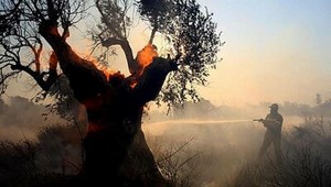 Hasiči bojujú s lesnými požiarmi v okolí Atén