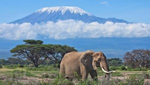 Afrika sa trhá na kusy. Na vine je aj Mesiac