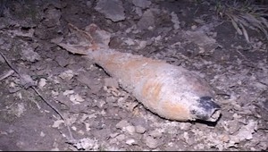 Míny v Donbase ohrozujú život 220 000 detí