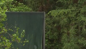 Zrkadlové inštalácie v botanickej záhrade znepokojili ochranárov. Do veľkých plôch narážali vtáky