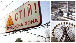 V okolí Černobyľu sa darí divokej zveri