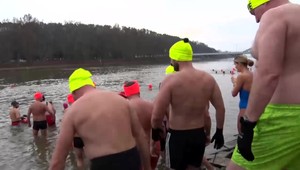 VIDEO: Po dvojročnej pauze si v Piešťanoch zaplávali ľadové medvede. Najstarší bol 80-ročný pán