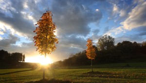 Október zatiaľ pripomína neskoré leto. Aké počasie nás čaká najbližšie dni?
