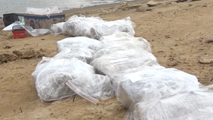 Z dna Domaše vystúpila história: Archeológovia objavili urnové pohrebisko