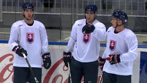 Z kabíny srší odhodlanie, hovorí brankár Ján Laco