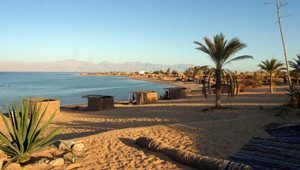 Krach Best Choice. Náhoda, pýtajú sa zainteresovaní