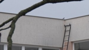 Prípad tragického úmrtia školáka v Parchovanoch mieri na Generálnu prokuratúru