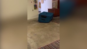 Muž sa pri hre s priateľkou skryl do kufra. Tá ho tam nechala zomrieť