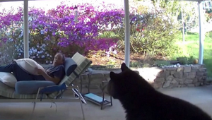 VIDEO: Relaxujúceho muža zaskočil nepozvaný hosť