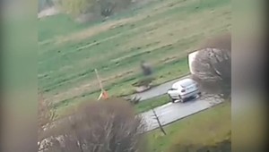 VIDEO: Dvojica sa oddávala sexuálnym radovánkam priamo pred očami obyvateľov sídliska