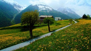 V malebnej dedine žije viac kráv ako obyvateľov. Turisti to miesto milujú