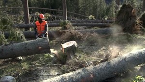 Vietor v Tatrách polámal tisíce stromov, škody budú odstraňovať mesiace