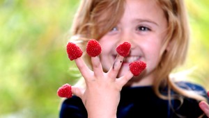 Ovocinári bilancujú. Bude čo jesť a piť, akurát to nebude lacnejšie