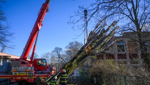 Poškodené autá aj popadané stromy: Víchrica narobila škody v hlavnom meste