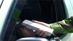 Šofér jazdil pod vplyvom alkoholu. Povedal, že ho bodla včela