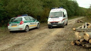 Robotníka (†56) v lese privalil strom