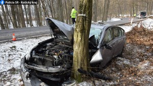 Pri nehode sa zranili traja ľudia. Vodič dostal šmyk a narazil do stromu