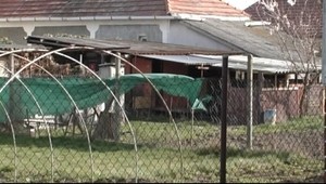 Tínedžerka porodila, bábätko našli mŕtve