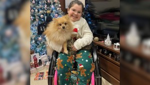 Zlodeji vrátili psa dievčaťu na vozíku. „Sme zlodeji, ale máme srdce,“ odkázali