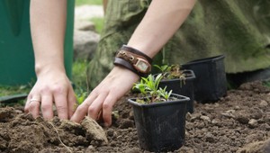 Neviete čo s odpadom zo záhrady? Spravte si vlastný kompost
